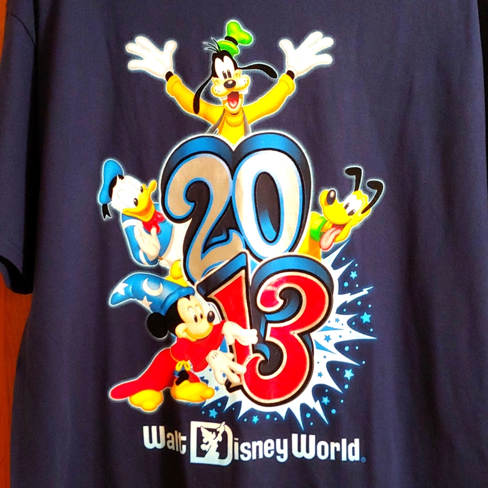 Man's Large 2013 New Disney T-shirt